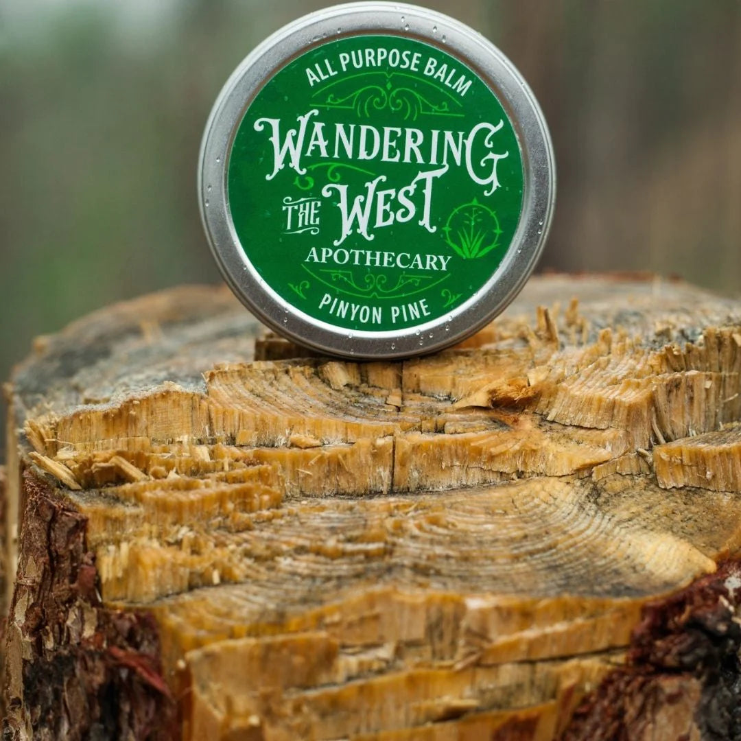 Wandering the West - Pinyon Pine Balm